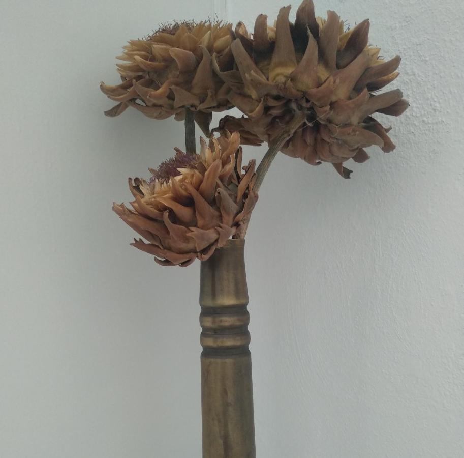 斯科派洛斯Thimisi别墅 外观 照片